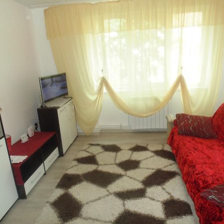 Lary Apartament Сучава Екстер'єр фото
