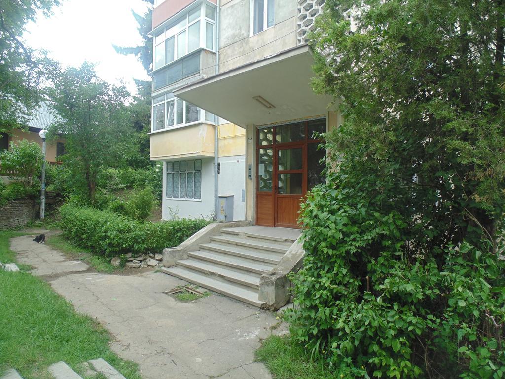 Lary Apartament Сучава Номер фото