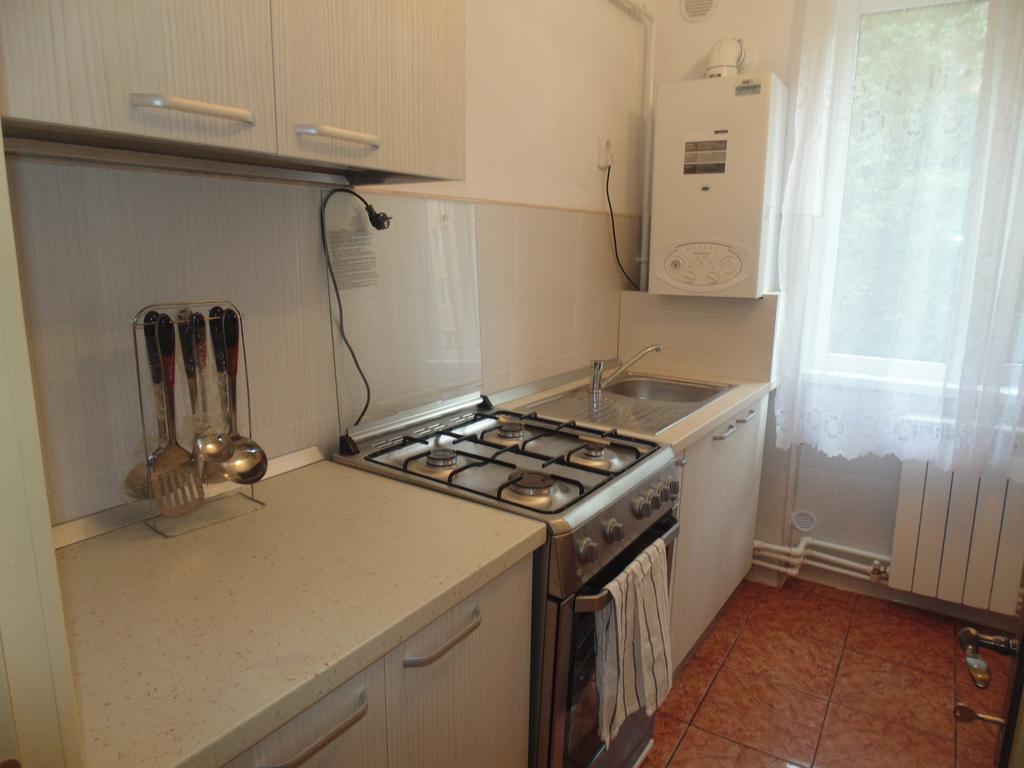 Lary Apartament Сучава Номер фото
